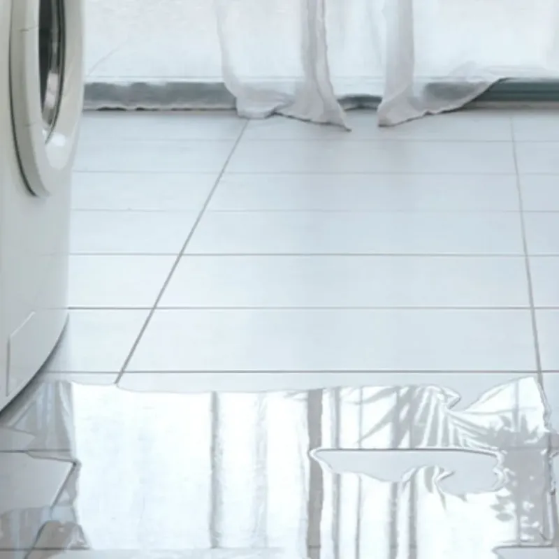 Appliance Leak Cleanup in Kalamazoo, MI