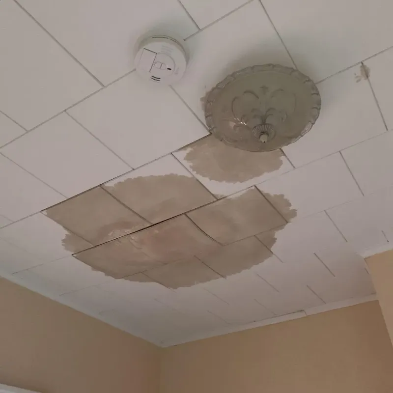 Ceiling Water Damage Repair in Kalamazoo, MI