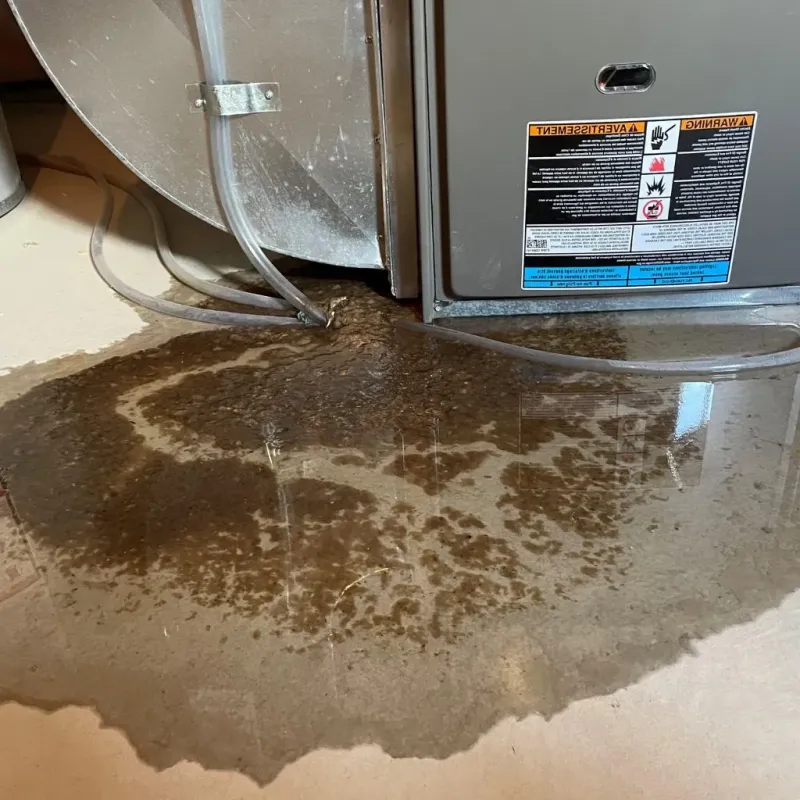 Pipe Burst and Leak Restoration in Kalamazoo, MI